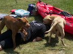 IMG 4263